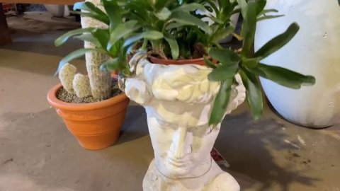 Мои обои на стене детской комнаты!