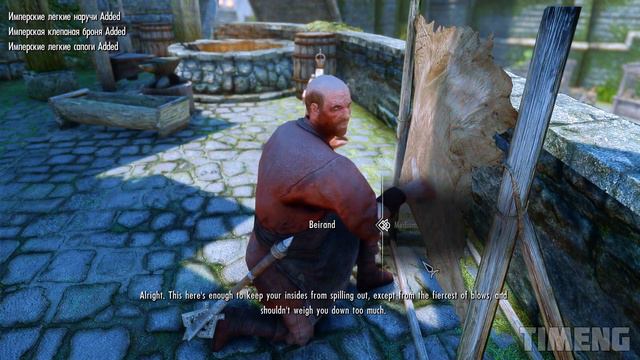 Skyrim ٠ Beirand's Reaction to Choosing Imperial Armor