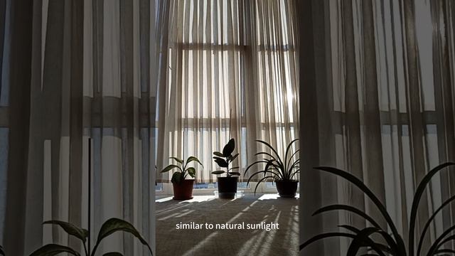 Choosing the Right Home Plant Grow Light