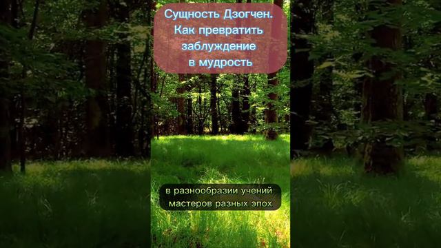 Сущность Дзогчен. Как превратить заблуждение в мудрость.