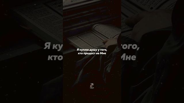 Аллах любит кающихся | Напоминание верующим
