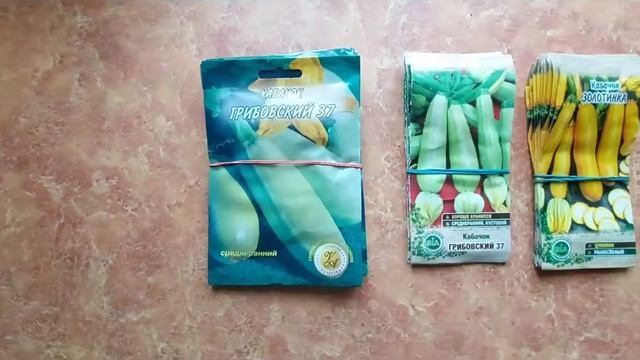 Огляд посилки з насінням 🧅🍅🍉🫑🥒🥕/сезон 2021