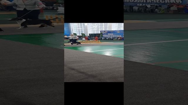 20221211_122100_1.mp4