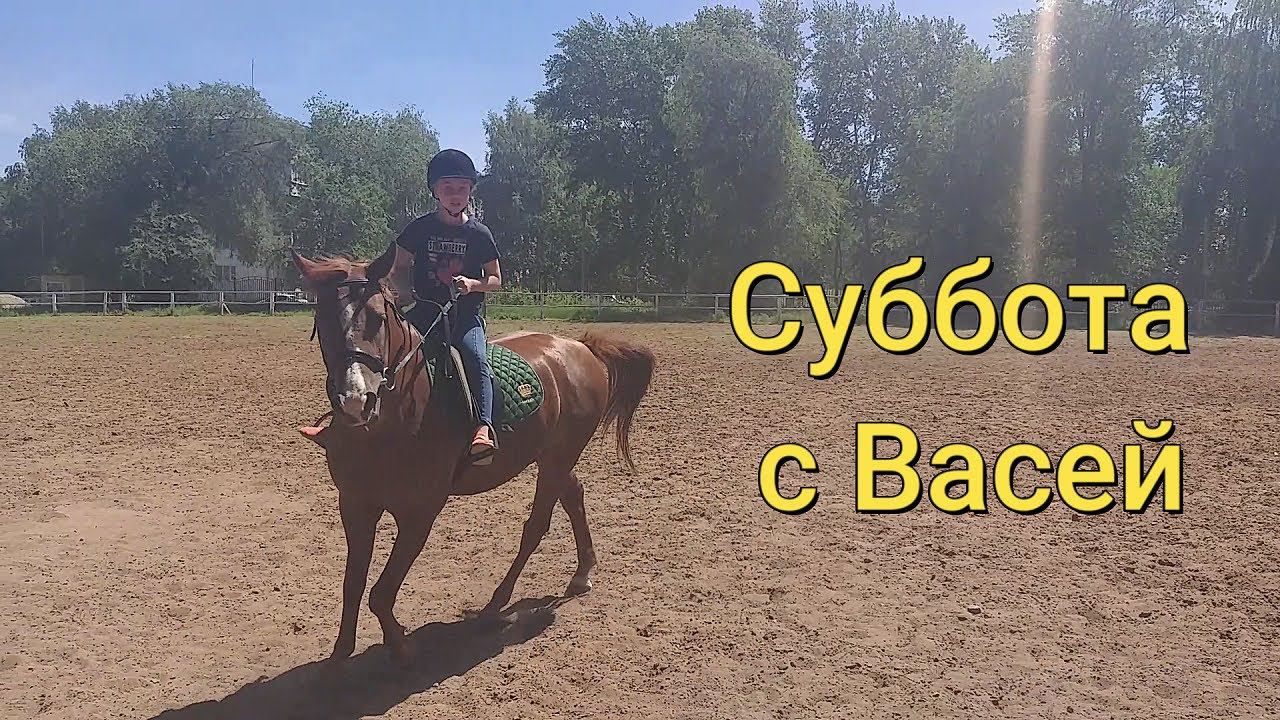 Суббота с Васей