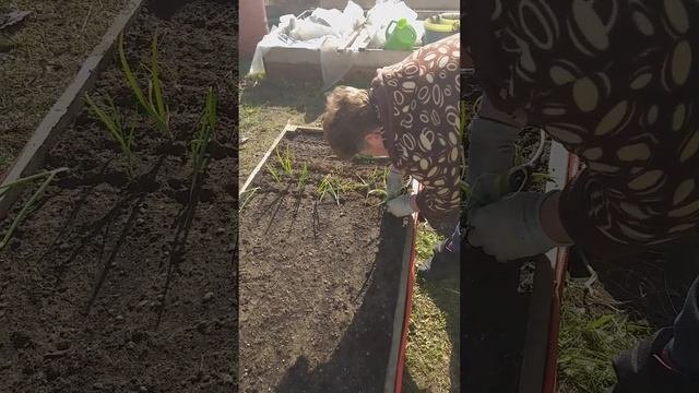 Подготовка к зиме