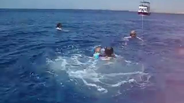 Crowne Plaza Resort Sharm El Sheikh 5* видео №8