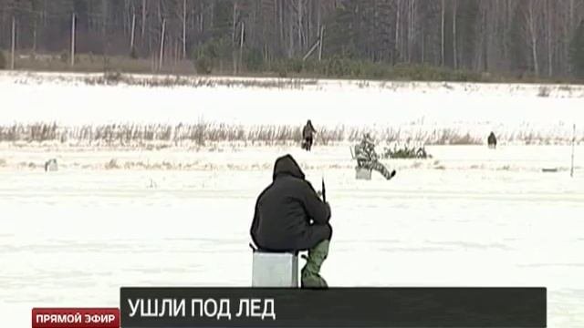 Два школьника погибли провалившись под лёд Малоистокского пруда