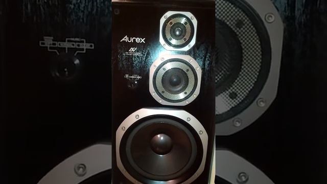 Aurex SJ-V94SS играет ЖинЖин - Снегом стать