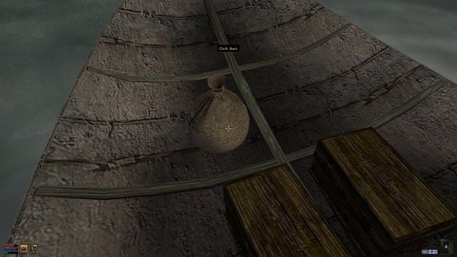 OpenMW on Linux Mint - Dark Elf Mage using his Hand to Hand and Unarmored skills