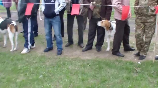 выставка 2016