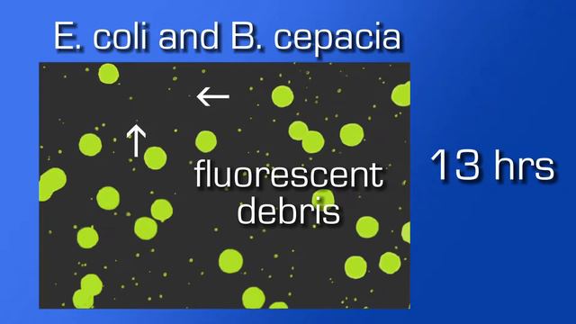 The Growth Direct System for Water and Bioburden