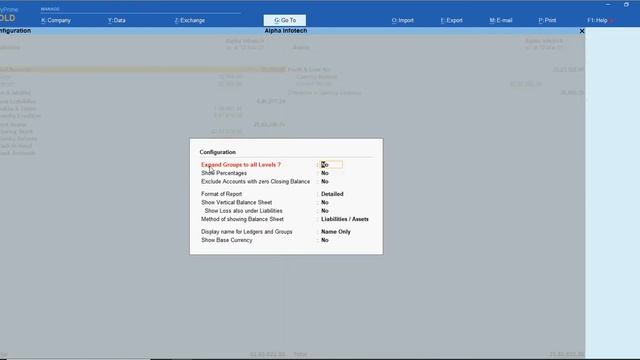 Tally Add On : Print Detailed Balance Sheet and P&L Report in Tally Prime Software