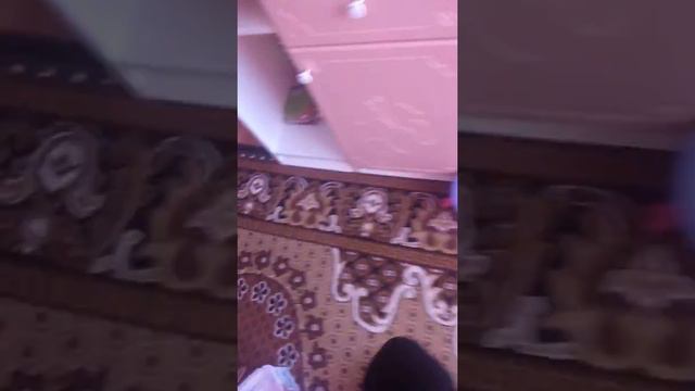 Я бью свою сестру?  Мисс вики подписывайся быстрее,пока меня не убили😈!!!