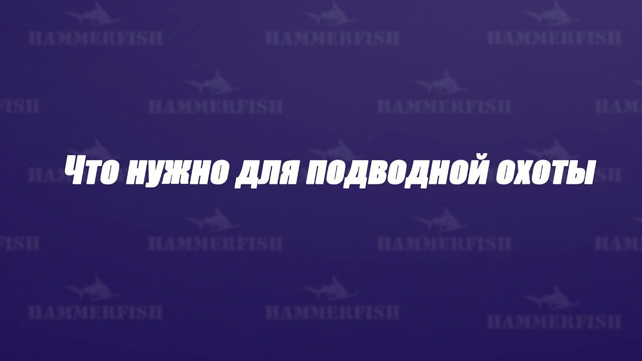 Что нужно для подводной охоты. Магазин HAMMERFISH