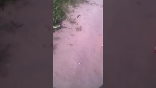 Как рассмешить друзей