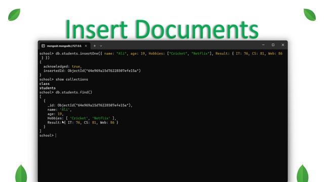 Insertion in MongoDB