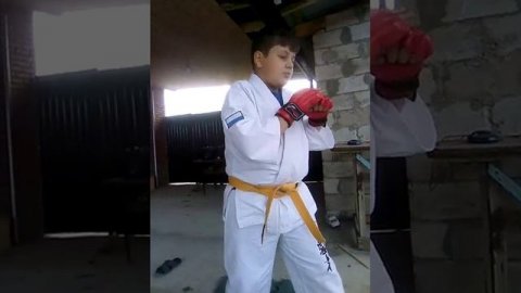 Приёмы по карате