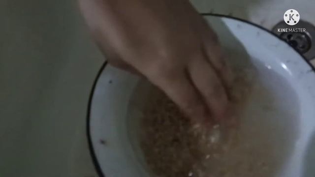 MEATTLESS PERLOVKA/// ГОТОВЫМ СИП НА ПЕРЛОВКИ