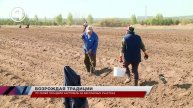 170 семей посадили картофель на бесплатных участках