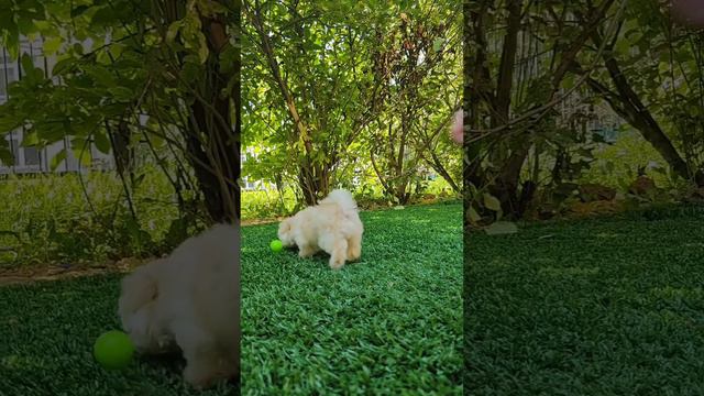 1000679749.mp4