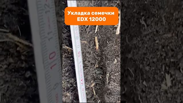 Укладка семечки EDX 12000 #amazone #planter #edx