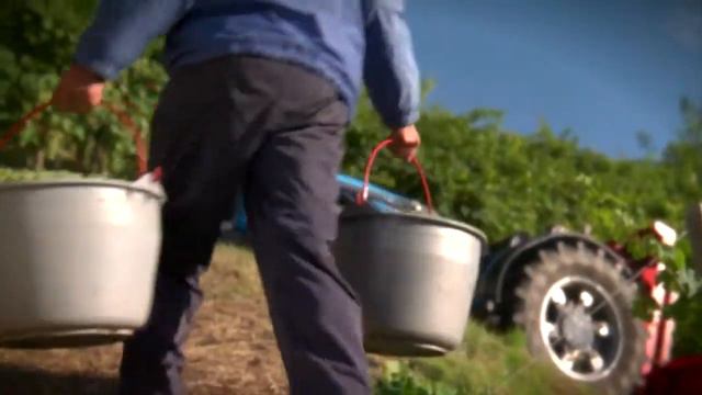 Prosecco Superiore di Conegliano e Valdobbiadebe