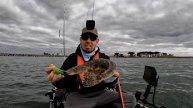 The BEST Soft Plastic still in 2023 - Berkley Gulp Turtleback Worm
