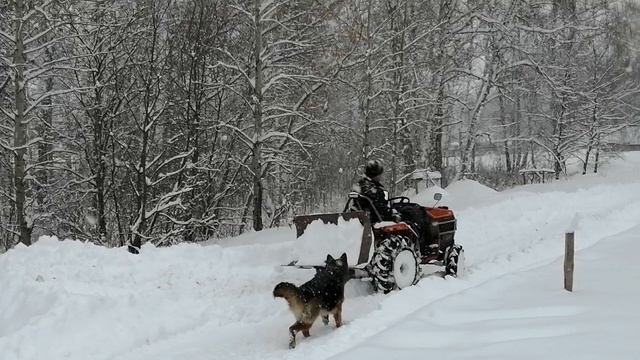 Маленький трактор против большого снега!