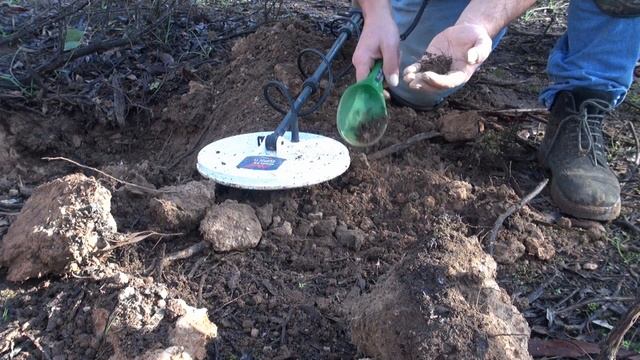 Minelab GPX 6000 | Victoria | Australia | August 2021 | Sunday morning Gold Gold Gold