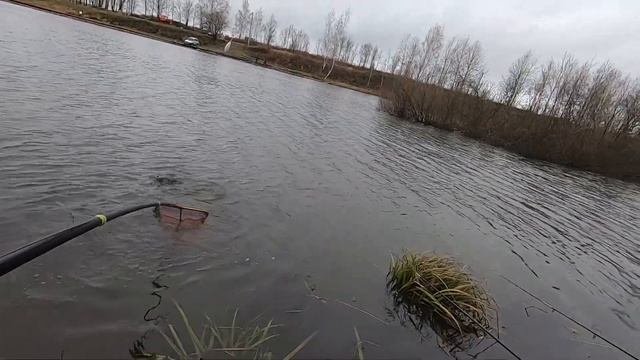 ОЧЕНЬ ДОЛГО НЕ БЫЛ НА РЫБАЛКЕ.форельловляфорелирыбалкафорель