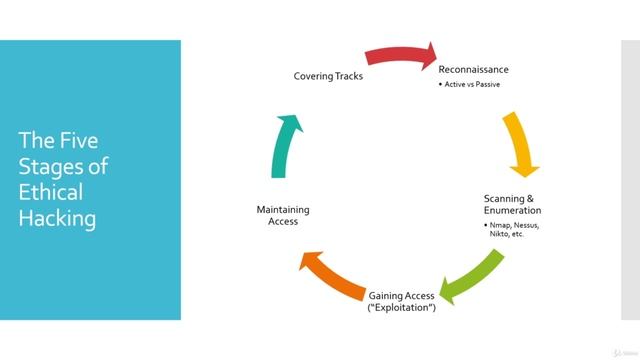 1. The Five Stages of Ethical Hacking