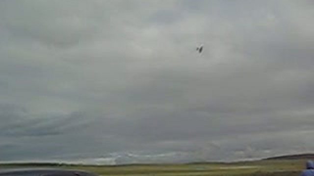 Посадка в корвьих угодьях