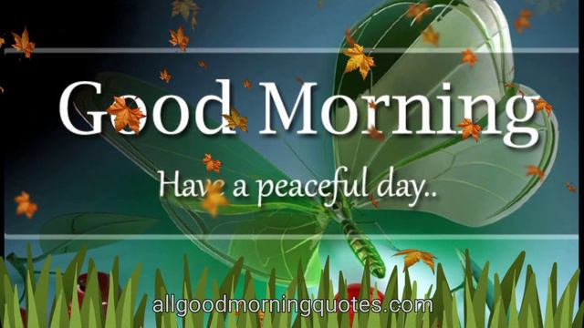 Good Morning Love Status for WhatsApp | Romantic Good Morning for Him and Her