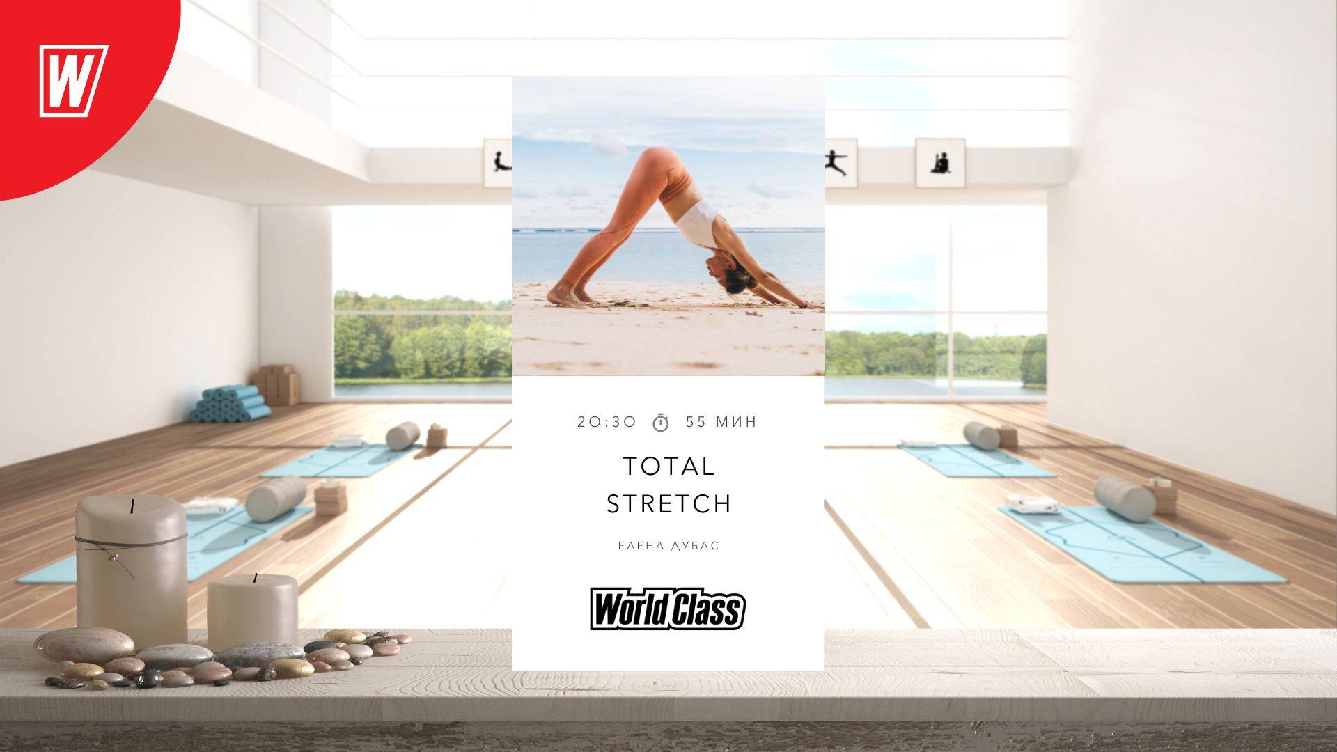 TOTAL STRETCH с Еленой Дубас  5 марта 2024  Онлайн-тренировки World Class