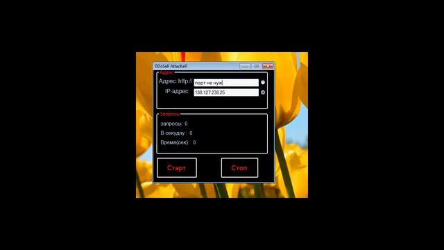 DDos Attacker Ддос для серверов и сайтов