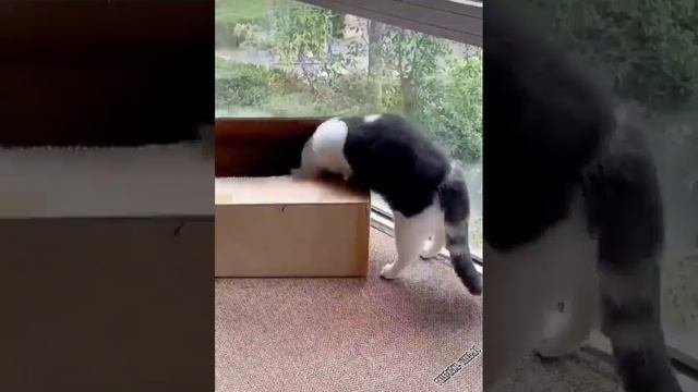 я тоже хочу  ребятам на фронт я там уже был и знаю каково это 2202 2003 4591 2586 сбер