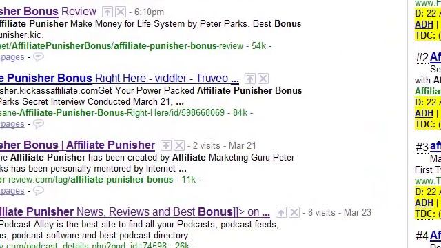 With Web 2.0, Video Marketing and Wordpress Blogs You Can Dominate Google