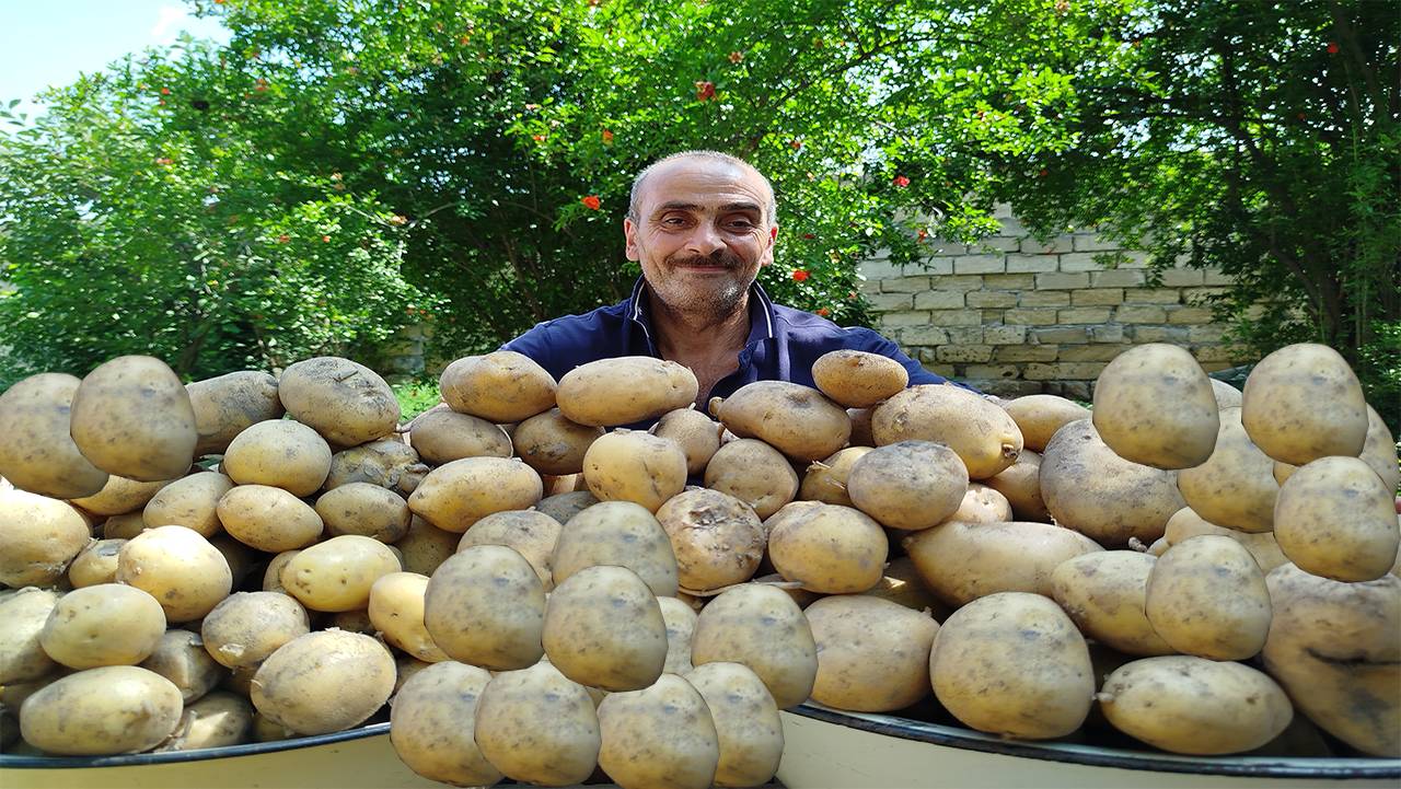 Маленькая деревенская жизнь, стопки картофов и приготовление фаршированных картофов.