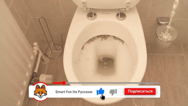 ЭТА комбинация поможет очистить унитаз под бортиком ?