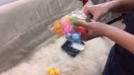 13 животных-игрушек для плавания в ванной с Aliexpress. Распаковка, обзор