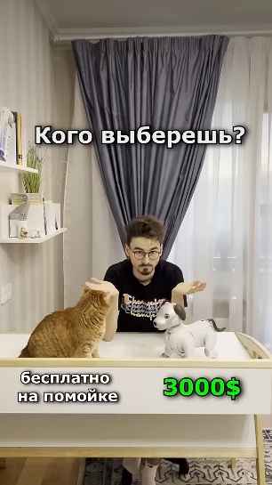 Они захватят этот мир🗿