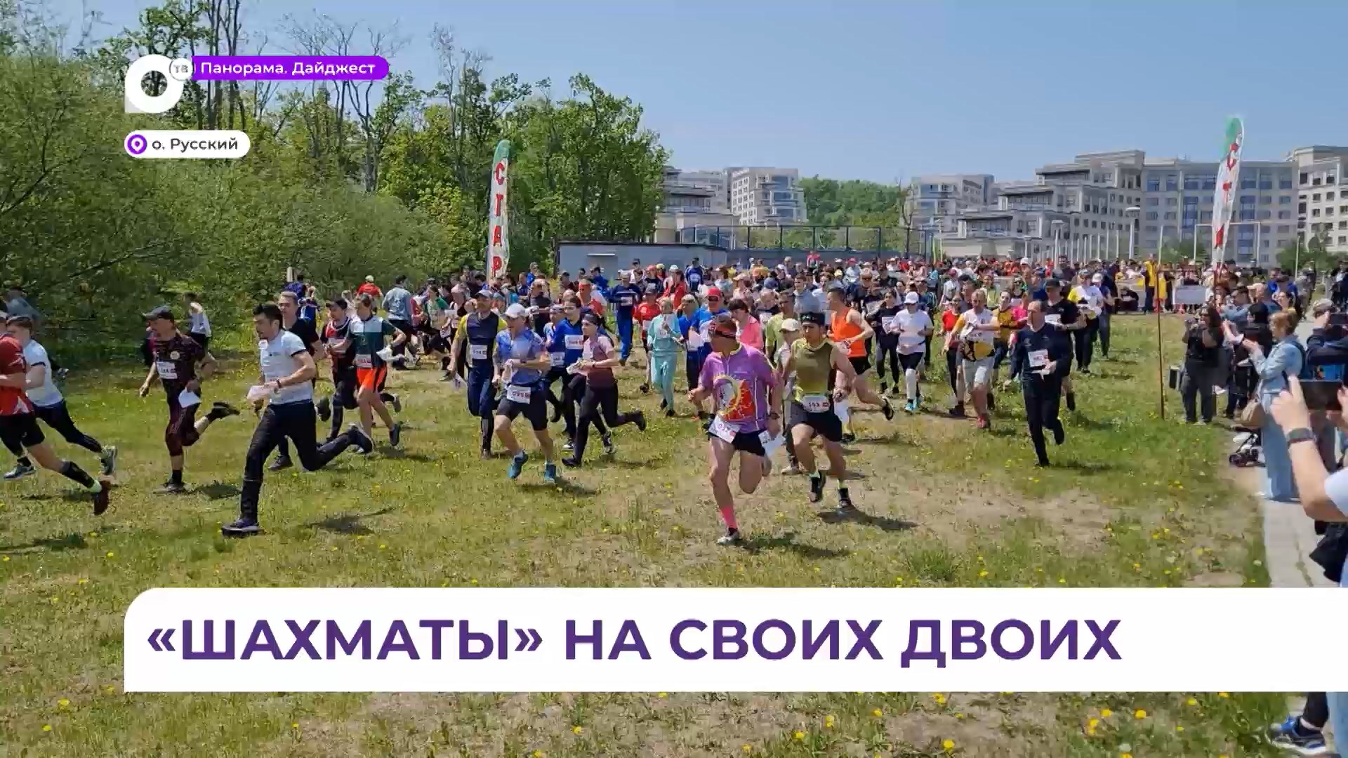 Соревнования по спортивному ориентированию собрали около 800 участников на Русском острове