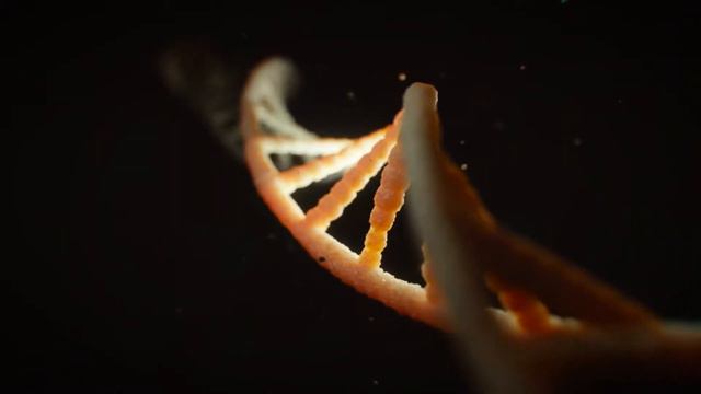 Важные замечания к проблемам одиночества и ожирения.