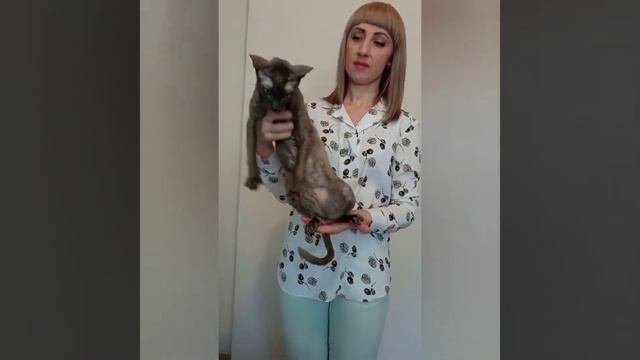 Ария Конни Калерия