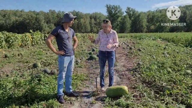 Дмитрий Рыкалин и его АРБУЗЫ в Сибири опыт про уход сюжет от Ани