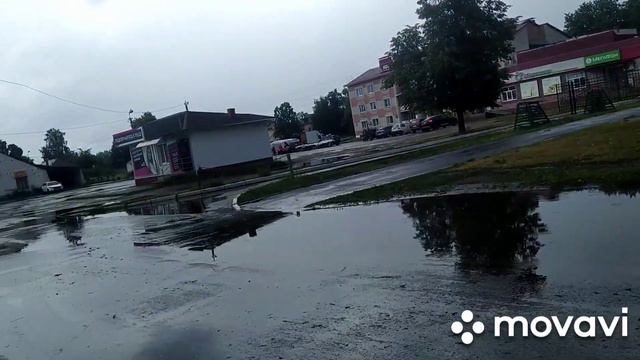 Сериал о вековом дереве. Никогда никому не рассказывай о своей Личной Жизни🤔😁🤣Не возведи себе Кумир