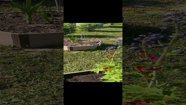 13-06-2023