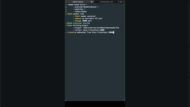Build your WASM plugin with Wasmo