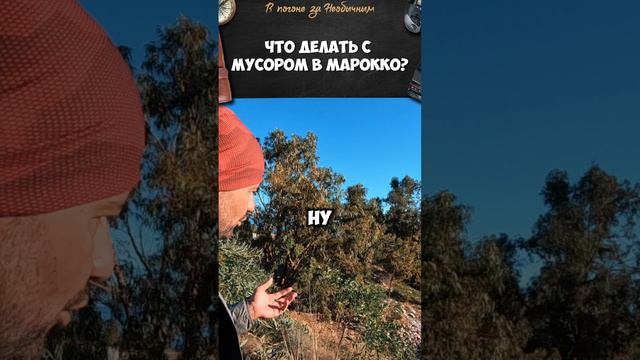 Что делают с мусором в Марокко