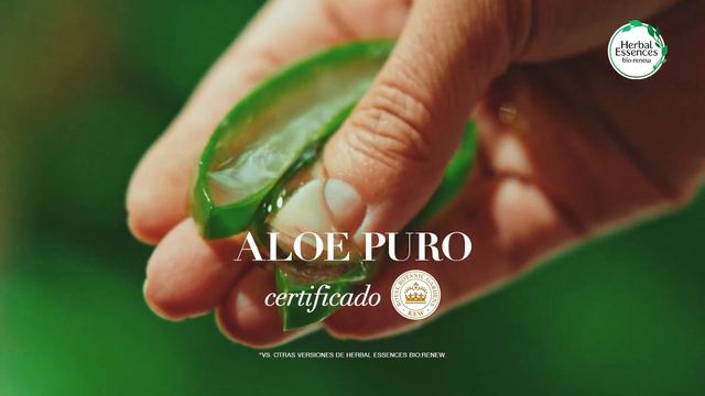 NUEVAS Mascarillas Herbal Essences con Aloe puro y extractos naturales